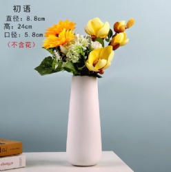 LSH210 ceramic vase