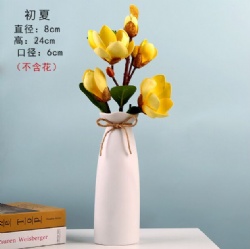 LSH213 ceramic vase