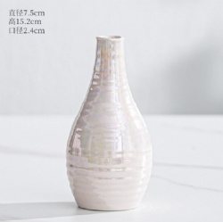 LSH238 ceramic vase