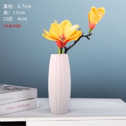 LSH283 ceramic vase